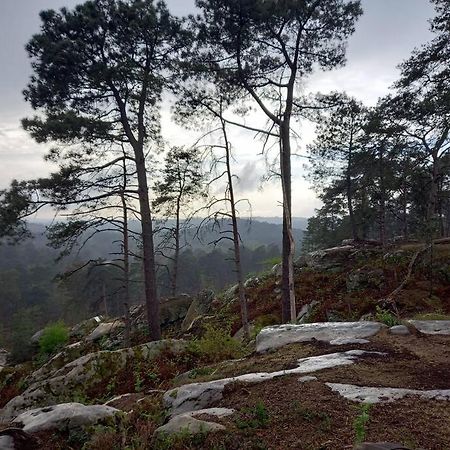 Gite Les Petites Bruyeres Veneux-les-Sablons 外观 照片